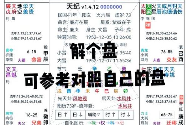 2025年4月10日巳时男命紫微斗数全解盘