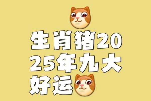 2025属猪人彻底大爆发_2025年开始走大运的生肖