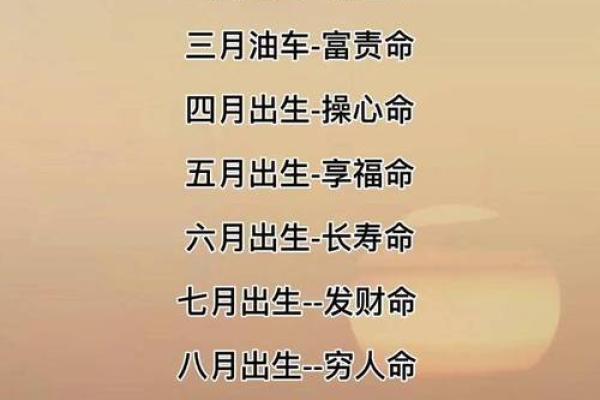 见兔顾犬是什么生肖