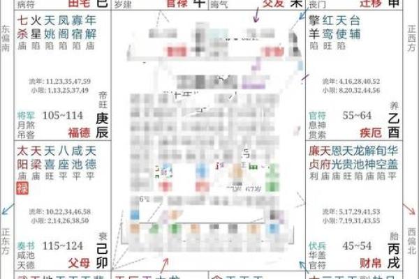 2025年4月20日巳时男命紫微斗数全解盘
