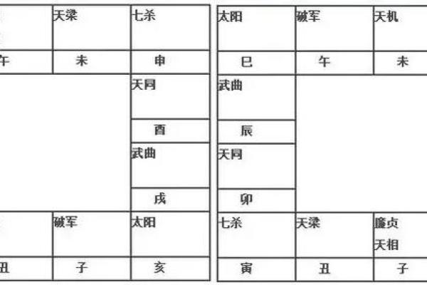 2025年4月25日亥时男命紫微斗数全解盘