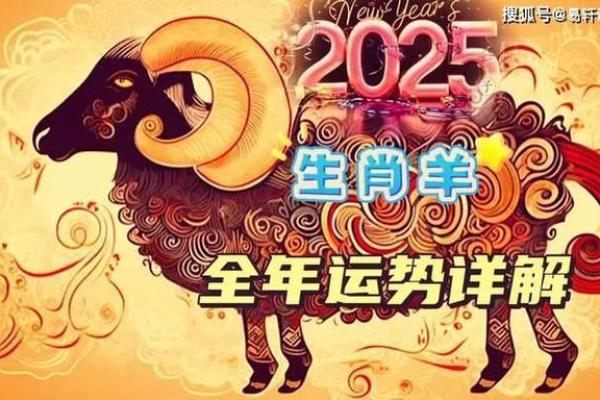 1979年的羊2025年运势_1979年属羊未来5年运势
