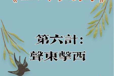 声东击西打一个生肖(声东击西打一最佳答案)