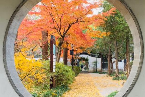 山鸣谷应打一生肖(山鸣谷应什么意思)