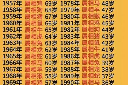 79年的羊2025年的运势怎么样_1979年属羊女在2025年的运程如何