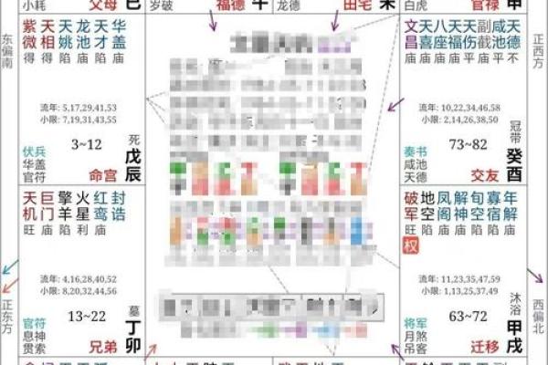 2025年4月27日子时男命紫微斗数全解盘