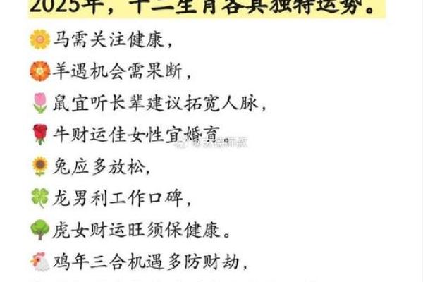 78年属马女2025年运势和财运怎么样_78年属马女2025年运势财运全解析事业健康运程预测 78年属马女2025年运势和财运怎么样_78年属马女2025年运势财运全解析事业健康运程预测