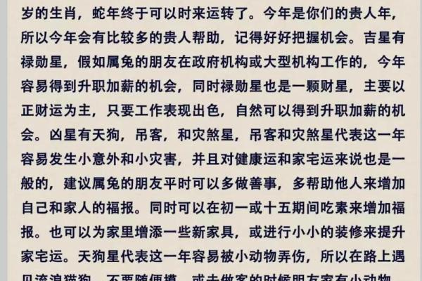 2025年属兔几月出生最好