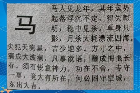 1978年属马男人2024年运势及运程_1978年属马男人2024年运势及运程全解析