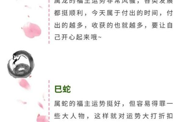 2025年4月4日冲什么生肖