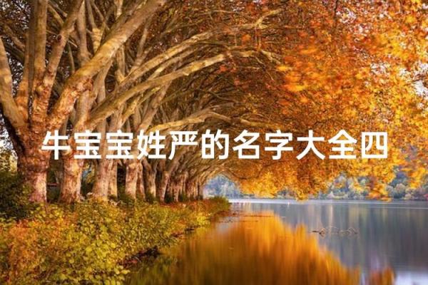 严姓女孩名字大全-严姓女孩起名字大全-严姓名字大全姓名 严姓女孩名字大全-严姓女孩起名字大全-严姓名字大全姓名