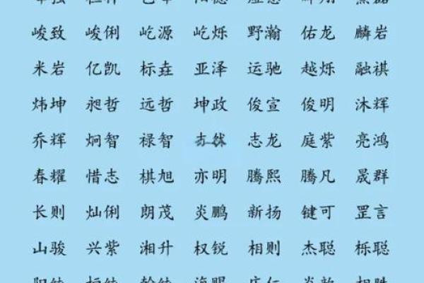 给凌晨2点出生的属鼠男孩取名字要用什么字姓名
