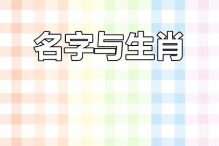 属鸡巳时出生的男孩该怎样取名姓名