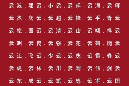 2019年5月16号卯时出生的男孩起名方法姓名