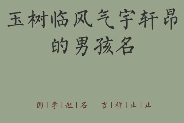 2019年4月22号丑时出生的男孩要怎么起名字姓名