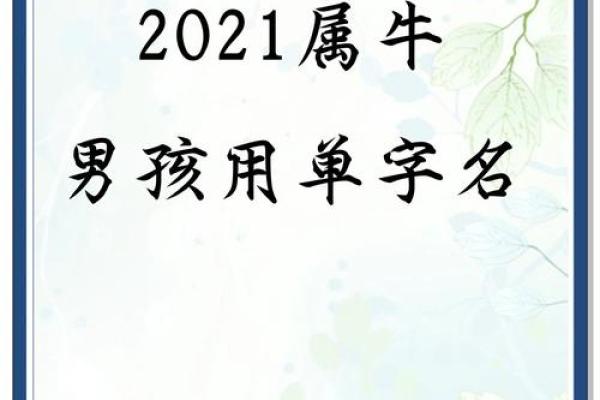 给晚上8点出生的属牛男孩起名用什么字好姓名