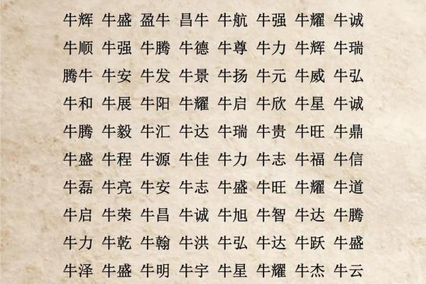 给晚上8点出生的属牛男孩起名用什么字好姓名
