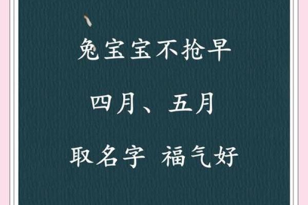 5月份出生的属兔女孩起什么名字好姓名