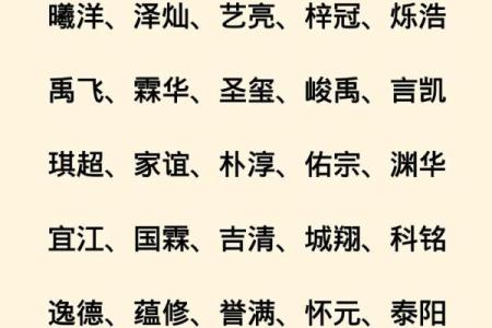 2019年6月10号卯时出生的男孩起名时要注意什么姓名