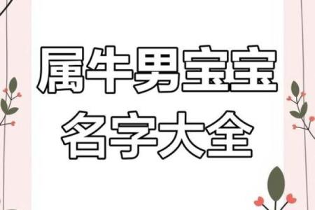 怎么样给下午5点出生的属牛男孩取名字好姓名
