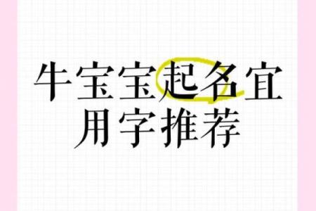 早上8点出生的属牛男孩怎么样起名，宜用什么字姓名