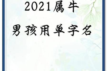 给晚上8点出生的属牛男孩起名用什么字好姓名