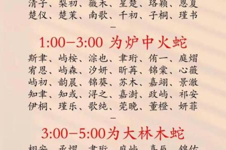 2019年3月30号申时出生的男孩起名方法姓名