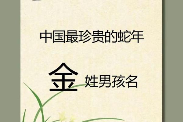 2019年5月2号寅时出生的男孩起名方法姓名 2019年5月2号寅时出生的男孩起名方法姓名