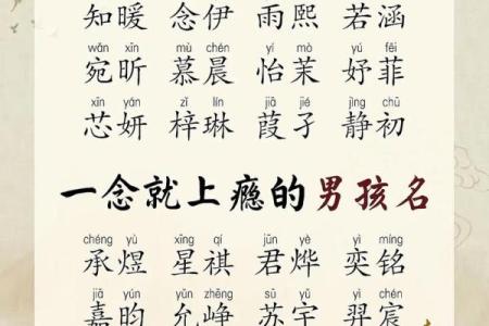 2019年5月27号寅时出生的男孩起名方法姓名