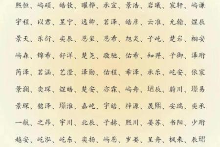 2019年3月31号卯时出生的男孩要怎么起名字姓名