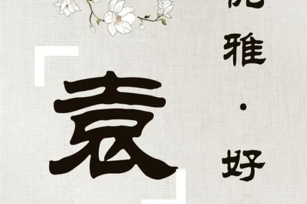 袁姓女孩名字大全-袁姓女孩起名字大全-袁姓名字大全姓名