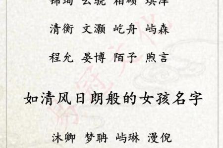 2019年3月30号辛时出生的男孩起名方法姓名