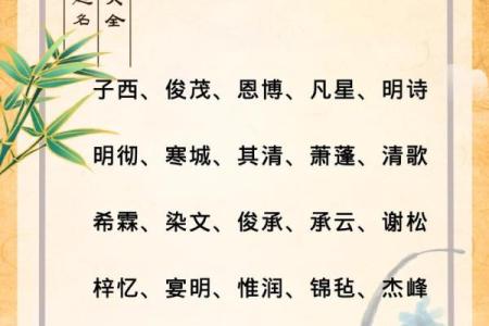 2019年6月9号卯时出生的男孩如何起名姓名