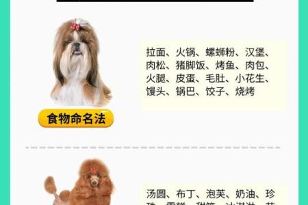 早上七点出生的属狗男孩如何取名，宜用什么字姓名