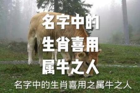 上午10点出生的属牛男孩应该用什么字取名字姓名