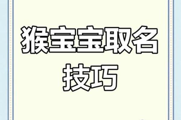 早上十一点出生的属猴男孩怎样取名,宜用什么字姓名 早上十一点出生的属猴男孩怎样取名,宜用什么字姓名