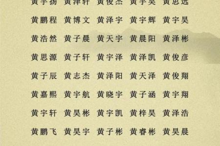 2019年3月21号子时出生的男孩应该起什么样的名字姓名