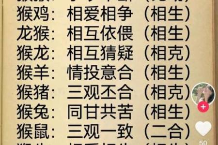早上十一点出生的属猴男孩怎样取名，宜用什么字姓名