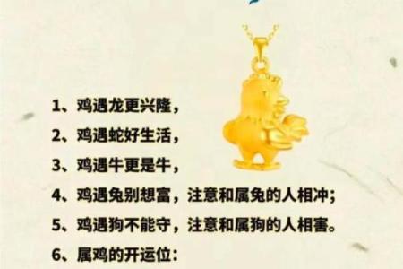 怎么样给晚上1点出生的属鸡男孩起名字合适姓名