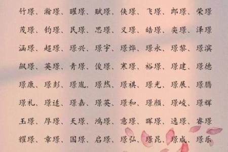 2019年4月28号寅时出生的男孩要怎么起名字姓名