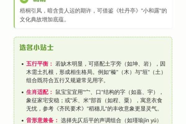 要给上午11点出生的属鼠男孩起名用什么字姓名 要给上午11点出生的属鼠男孩起名用什么字姓名