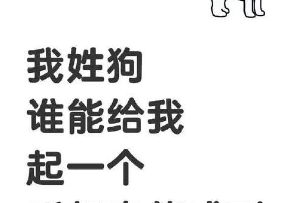 适合给属狗丑时出生的男孩取的起名,宜用字姓名 适合给属狗丑时出生的男孩取的起名,宜用字姓名