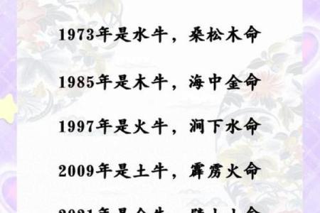 给晚上9点出生的属牛男孩取名字适合用什么字姓名