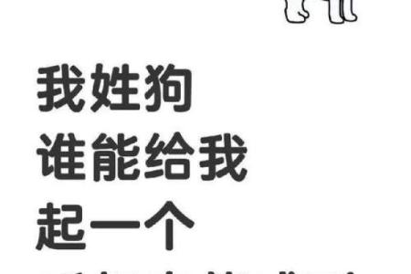 适合给属狗丑时出生的男孩取的起名，宜用字姓名