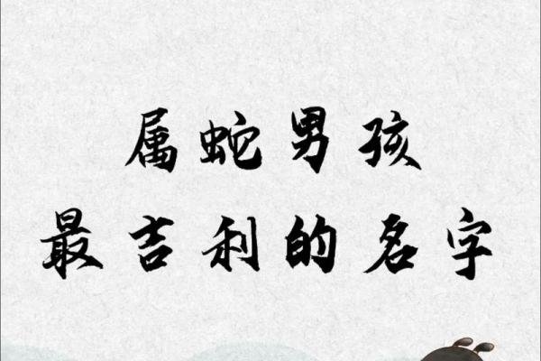 晚上11点出生的属蛇男孩如何起名,宜用哪些字姓名 晚上11点出生的属蛇男孩如何起名,宜用哪些字姓名