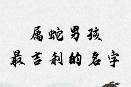 晚上11点出生的属蛇男孩如何起名，宜用哪些字姓名