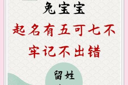 下午出生属兔的男孩应该怎么样取名字呢？姓名