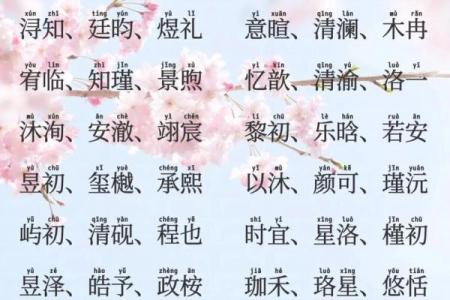 2019年6月13号子时出生的男孩起名方法姓名