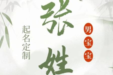 属狗的张姓男孩起名大全，张氏名字汇总姓名