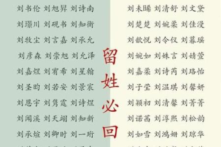 2019年6月23号子时出生的男孩如何起名姓名